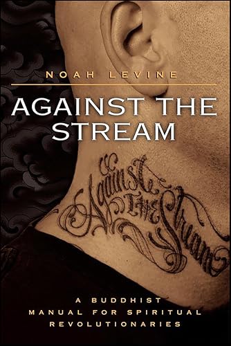 Against the Stream: A Buddhist Manual for Spiritual Revolutionaries book cover