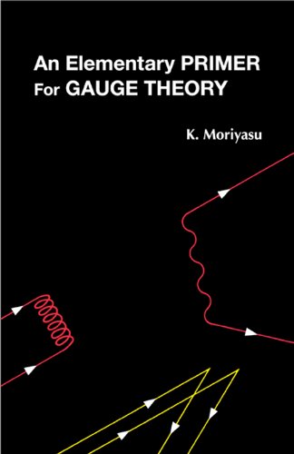 An Elementary Primer for Gauge Theory book cover