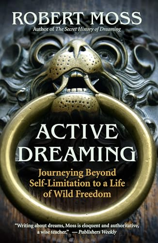 Active Dreaming: Journeying Beyond Self-Limitation to a Life of Wild Freedom book cover