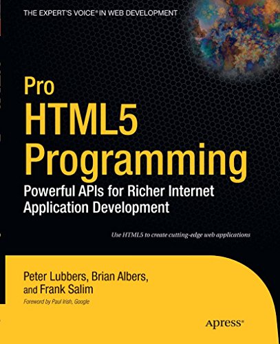 Pro Html5 Programming: Powerful APIs for Richer Internet Application Development book cover