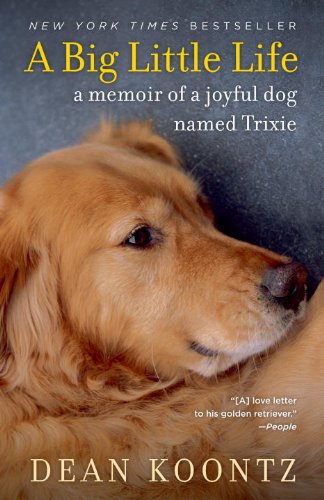 A Big Little Life: A Memoir of a Joyful Dog book cover