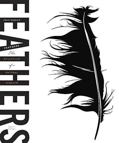 Feathers: The Evolution of a Natural Miracle book cover