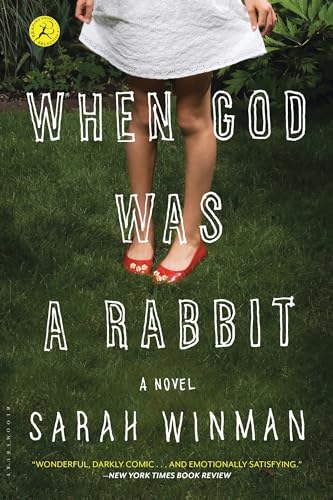 When God Was a Rabbit book cover