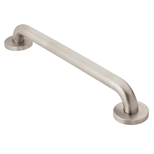 Moen 16-Inch Stainless Steel Grab Bar