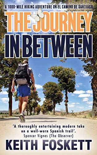 The Journey in Between book cover