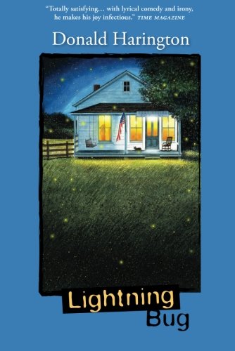 Lightning Bug book cover