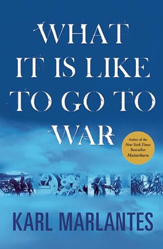 What It is Like to Go to War book cover