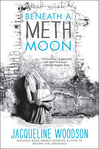 Beneath a Meth Moon book cover