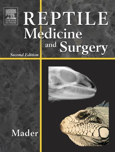Reptile Medicine and Surgery book cover