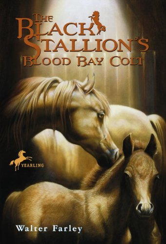 The Black Stallion's Blood Bay Colt (The Black Stallion, #6) book cover