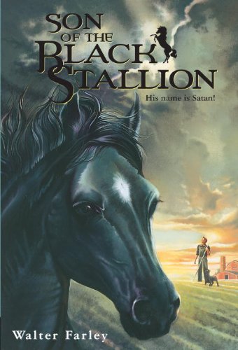 Son of the Black Stallion (The Black Stallion, #3) book cover
