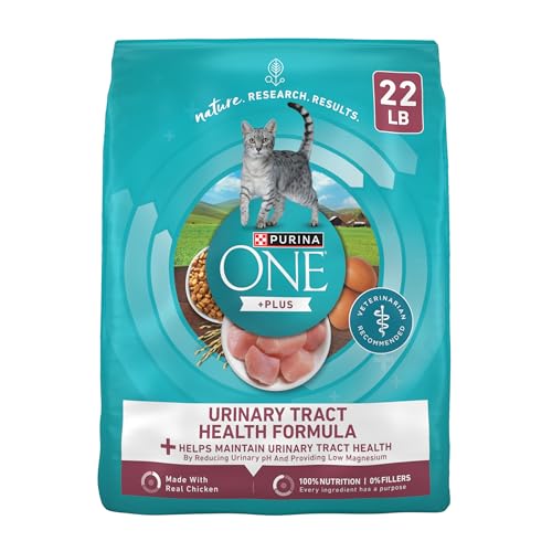 Purina ONE High Protein Dry Cat Food, +Plus Urinary Tract Health Formula - . Bag