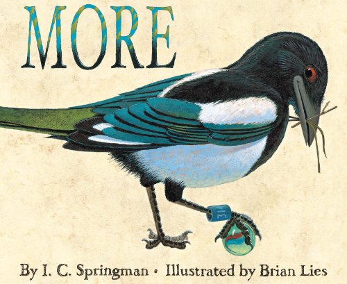 More book cover