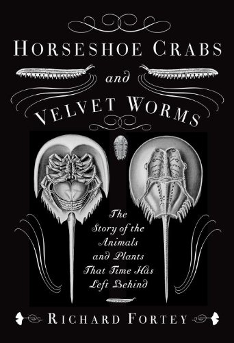 Horseshoe Crabs and Velvet Worms: The Story of the Animals and Plants That Time Has Left Behind book cover