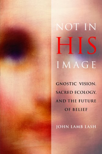 Not in His Image: Gnostic Vision, Sacred Ecology, and the Future of Belief book cover