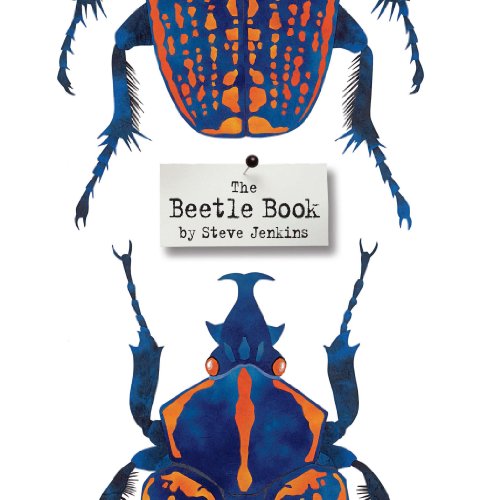 The Beetle Book book cover