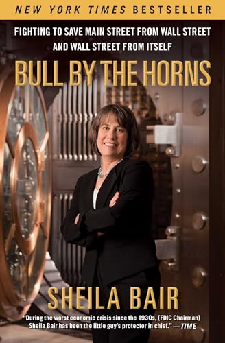 Bull by the Horns: Fighting to Save Main Street from Wall Street and Wall Street from Itself book cover