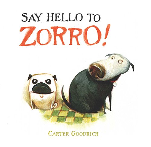 Say Hello to Zorro! book cover