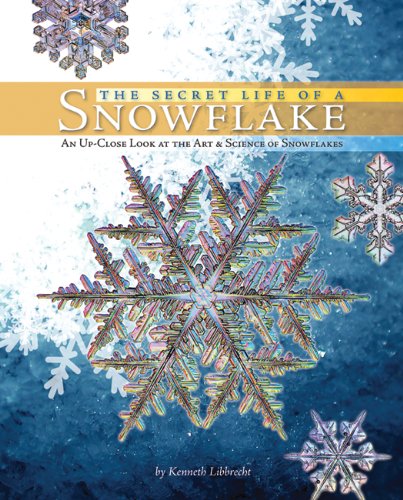 The Secret Life of a Snowflake: An Up-Close Look at the Art and Science of Snowflakes book cover