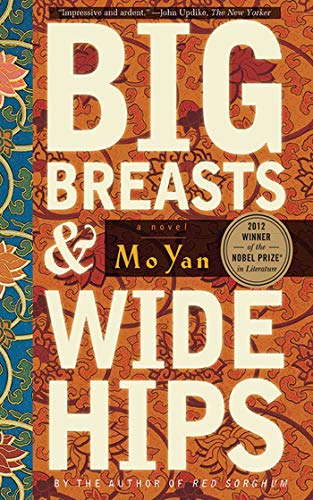 Big Breasts and Wide Hips book cover