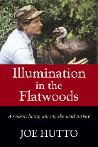 Illumination in the Flatwoods: A Season Living Among the Wild Turkey book cover