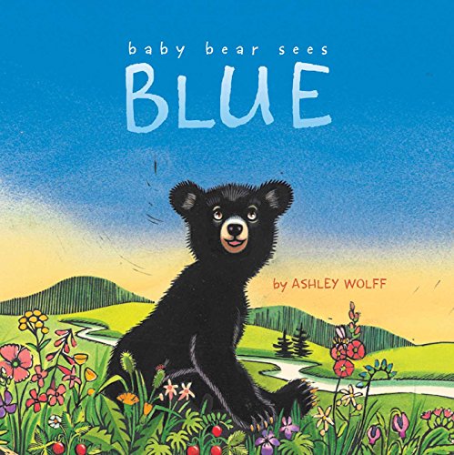 Baby Bear Sees Blue book cover