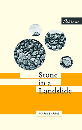 Stone in a Landslide book cover