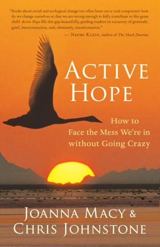 Active Hope: How to Face the Mess We're in without Going Crazy book cover