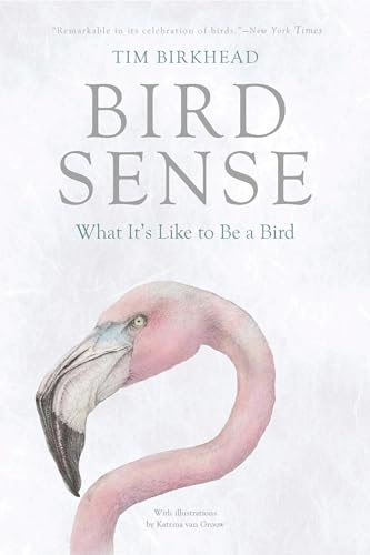 Bird Sense: What It's Like to Be a Bird book cover