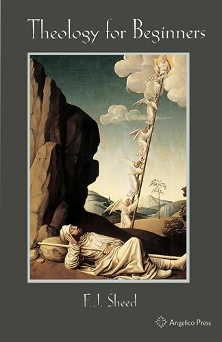 Theology for Beginners book cover