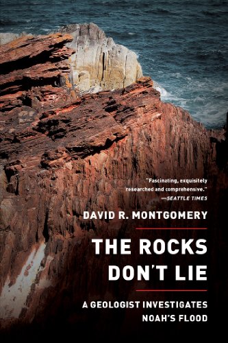 The Rocks Don't Lie: A Geologist Investigates Noah's Flood book cover