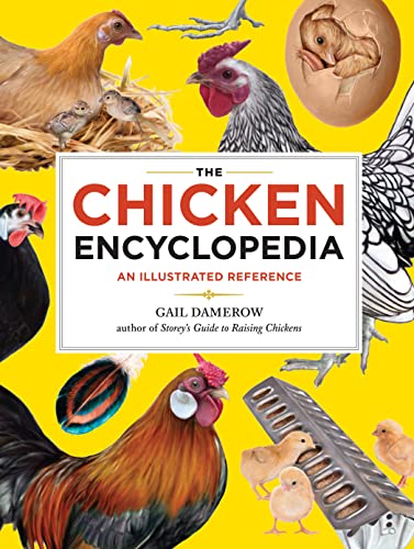 The Chicken Encyclopedia: An Illustrated Reference book cover