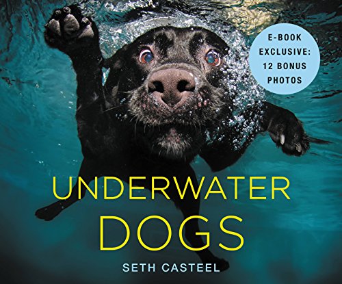 Underwater Dogs book cover