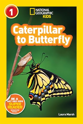 Caterpillar to Butterfly book cover