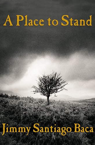A Place to Stand book cover