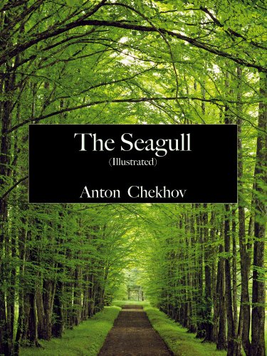 The Seagull book cover