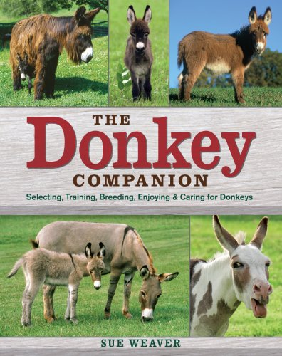 The Donkey Companion: Selecting, Training, Breeding, Enjoying Caring for Donkeys book cover