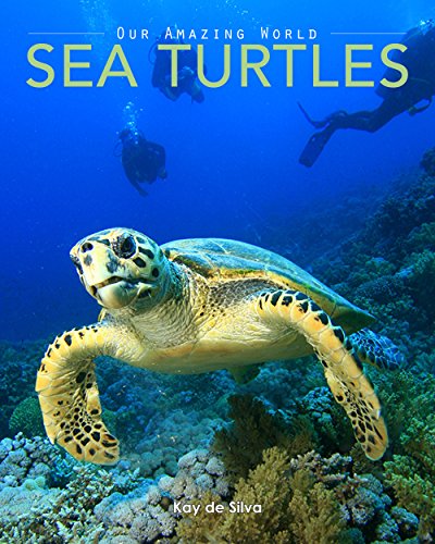 Sea Turtles: Amazing Pictures & Fun Facts on Animals in Nature book cover