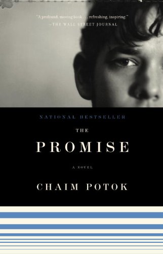 The Promise book cover