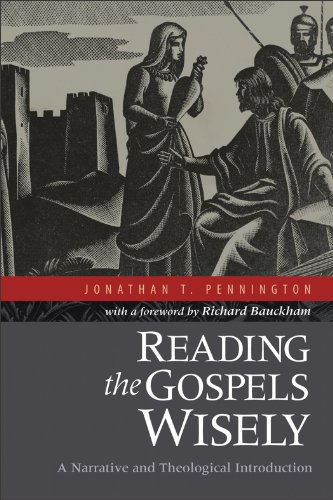 Reading the Gospels Wisely: A Narrative and Theological Introduction book cover