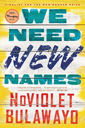 We Need New Names book cover