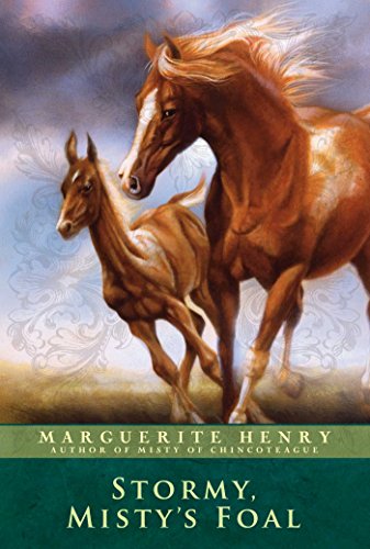 Stormy, Misty's Foal (Misty, #3) book cover