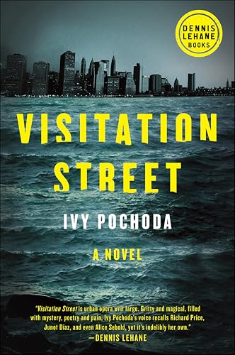 Visitation Street book cover