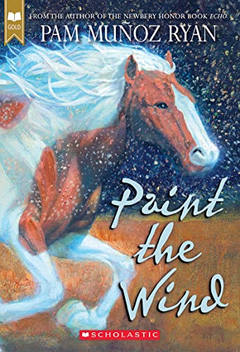Paint the Wind book cover