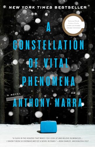 A Constellation of Vital Phenomena book cover