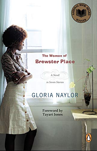 The Women of Brewster Place book cover