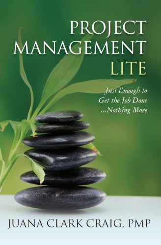 Project Management Lite: Just Enough to Get the Job Done...Nothing More book cover