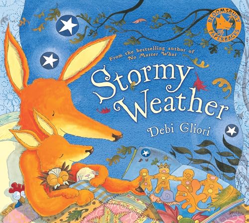 Stormy Weather book cover