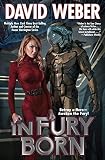 In Fury Born Fury Series Book 1