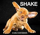 Shake A Beguiling And Heartwarming Collection Of Candid Dog